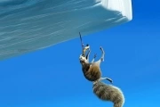 Ледниковый период 2: Глобальное потепление — кадр 2