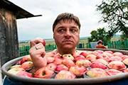 Жуки (сериал, +4 сезон) — кадр 3