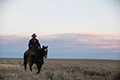 1883 (мини–сериал) — кадр 1