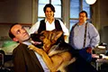 Комиссар Рекс (сериал, +10 сезон) — кадр 1