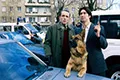 Комиссар Рекс (сериал, +10 сезон) — кадр 2