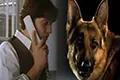Комиссар Рекс (сериал, +10 сезон) — кадр 3