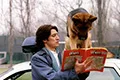 Комиссар Рекс (сериал, +13 сезон) — кадр 1