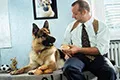 Комиссар Рекс (сериал, +13 сезон) — кадр 2