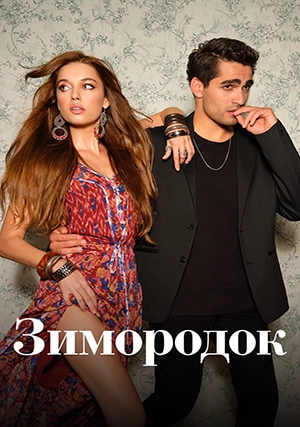 Зимородок (сериал, +3 сезон)