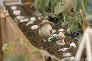 Марсель, ракушка в ботинках — кадр 2